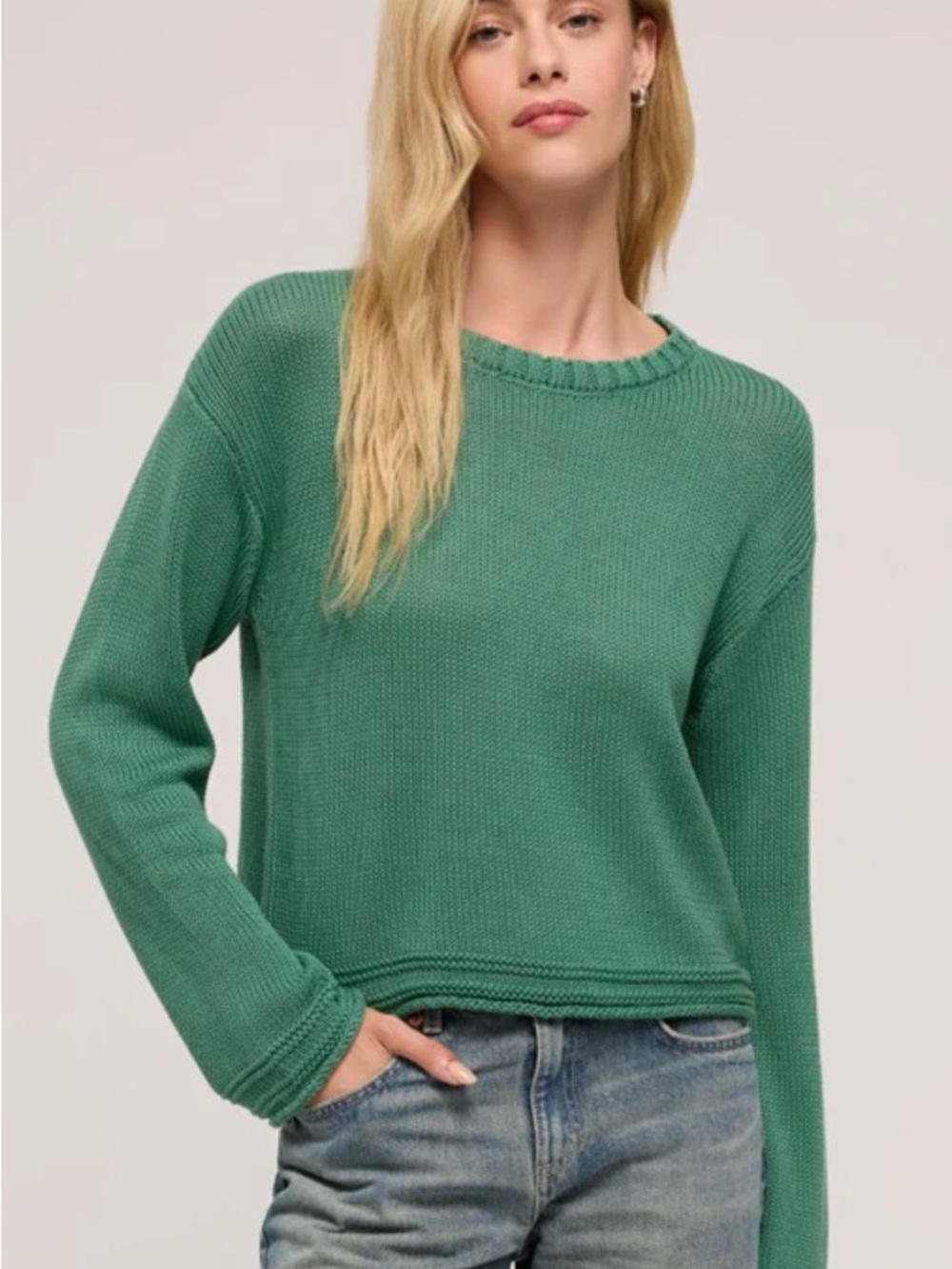 NWT Z Supply Emerson Sweater in Botanical Green